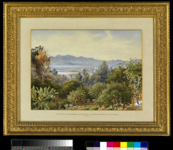 Cannes, with the Esterel Mountains in the distance