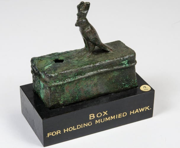 Hawk mummy case
