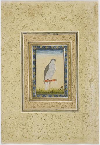 Master: Mughal album of portraits, animals and birds.
Item: Painting of a falcon