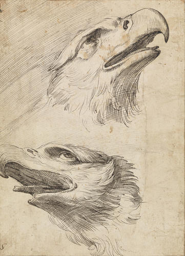Two heads of eagles Two heads of eagles