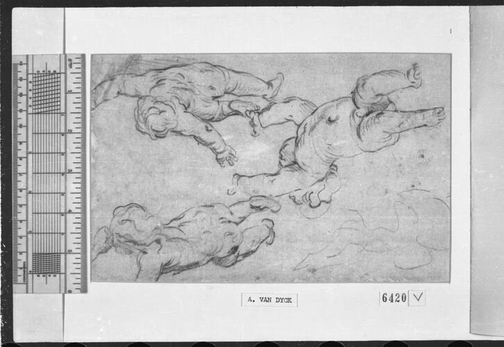 Recto: Portrait of a man. Verso: Three flying putti