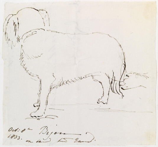 Master: PRINCESS VICTORIA SKETCHES 1
Item: Bijou on board the Emerald