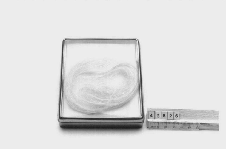 Box containing hair of Mary, Queen of Scots Box containing hair of Mary, Queen of Scots