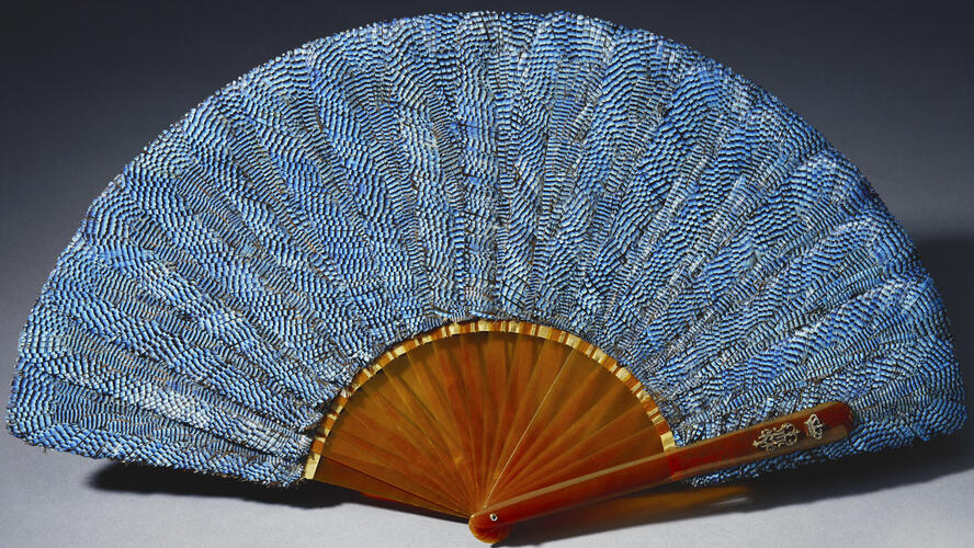 Jay feather fan