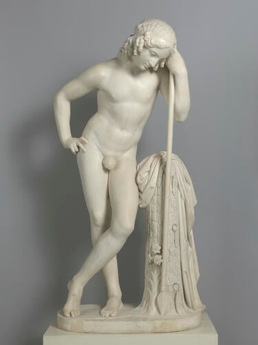 Narcissus Narcissus