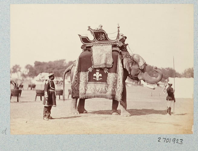 Elephant and State Trappings of His Royal Highness: Prince of Wales Tour of India 1875-6 Elephant and State Trappings of His Royal Highness: Prince of Wales Tour of India 1875-6