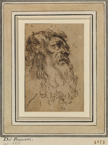 Study of the head of an old man
