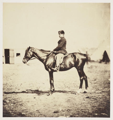 General Barnard's horse, grandson of Marengo General Barnard's horse, grandson of Marengo