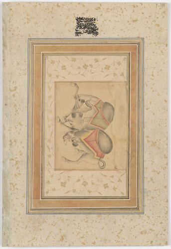Master: Mughal album of portraits, animals and birds.
Item: Portrait of Prince Daniyal and painting of fighting camels