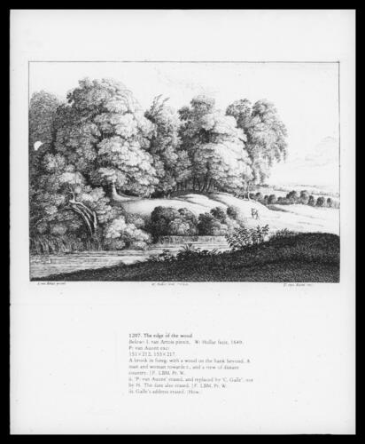 The edge of the wood
