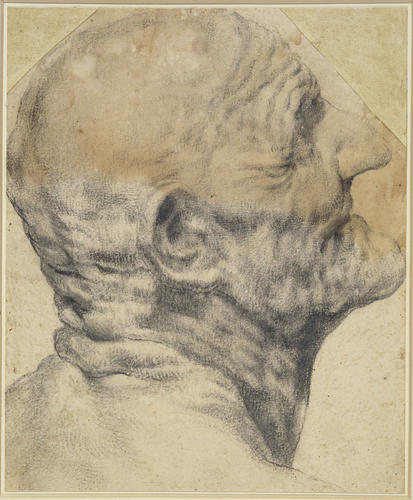 The 'Head of Seneca'