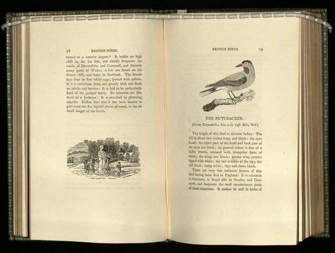 History of British birds ; v. 1 containing the history and description of land birds / the figures engraven on wood by T Bewick History of British birds ; v. 1 containing the history and description of land birds / the figures engraven on wood by T Bewick