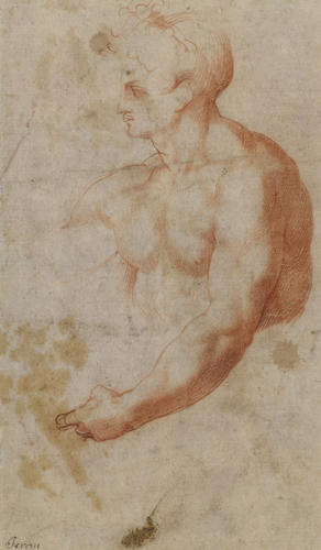 Studies of arms, and (verso) of a male nude Studies of arms, and (verso) of a male nude