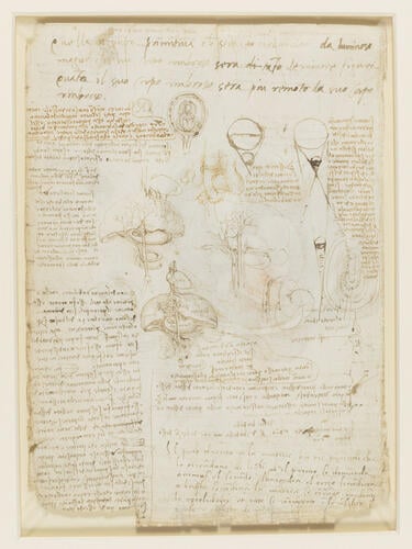 The fetus in the womb; sketches and notes on reproduction The fetus in the womb; sketches and notes on reproduction