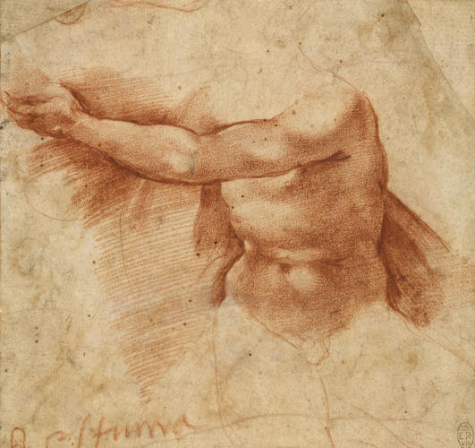 A torso and left arm