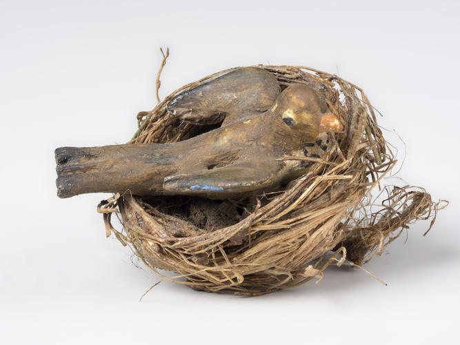 Blackbird in nest