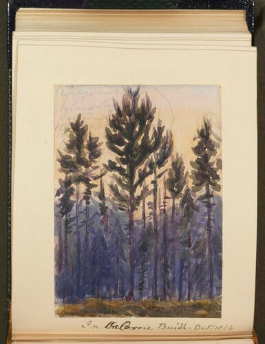 Master: SKETCHES FROM NATURE V. R. 1862 TO 1864
Item: Loch Muick