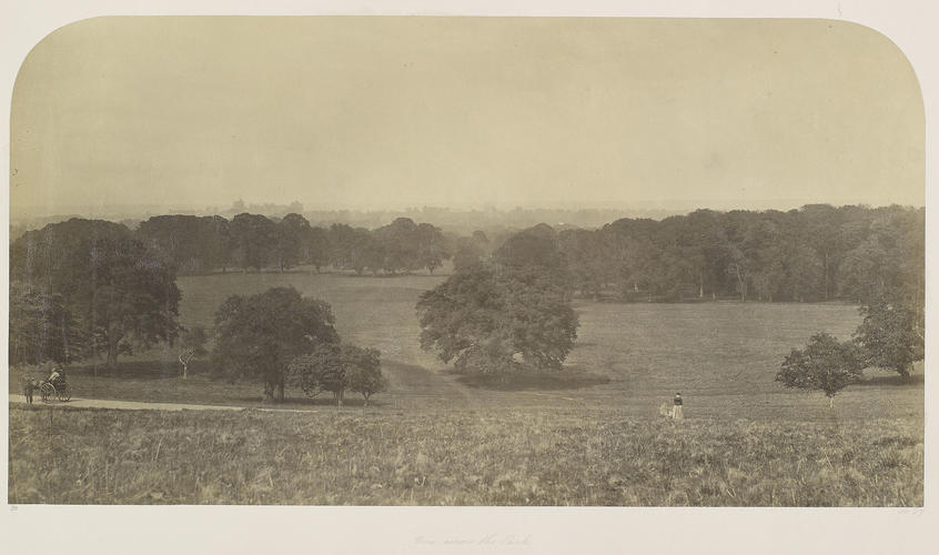 View across the Park, towards Windsor Castle