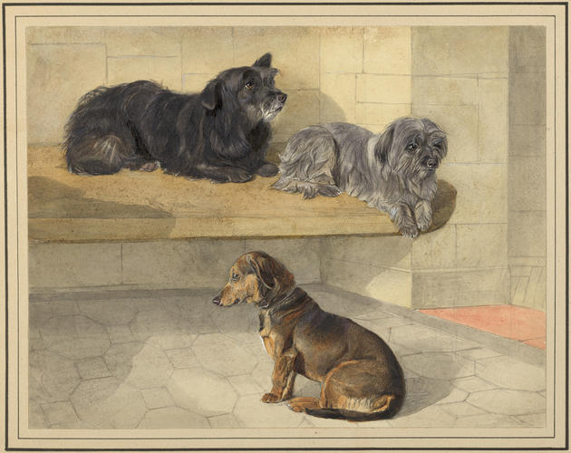 Dandie Dinmont, Dackel and Fancy Dandie Dinmont, Dackel and Fancy
