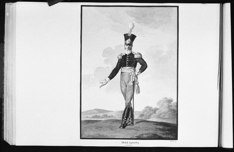 Dutch Troops. Colonel, Infantry, 1815 Dutch Troops. Colonel, Infantry, 1815