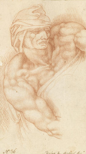 The head and the shoulders of a man