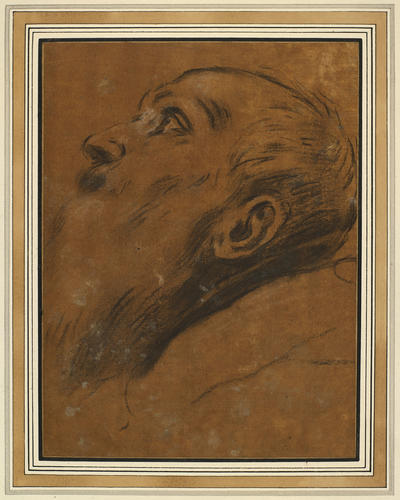 The head of a bearded man, looking upwards The head of a bearded man, looking upwards