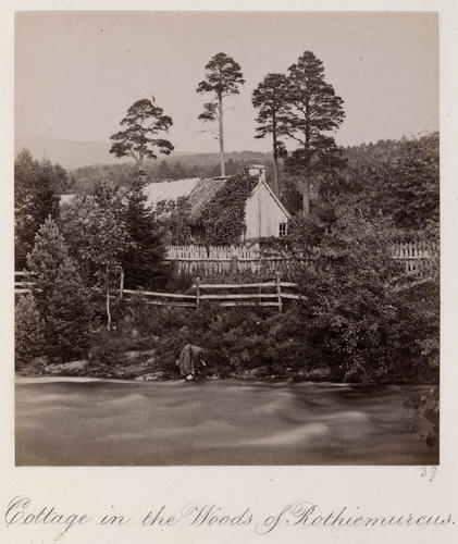 Cottage in the woods of Rothiemurcus