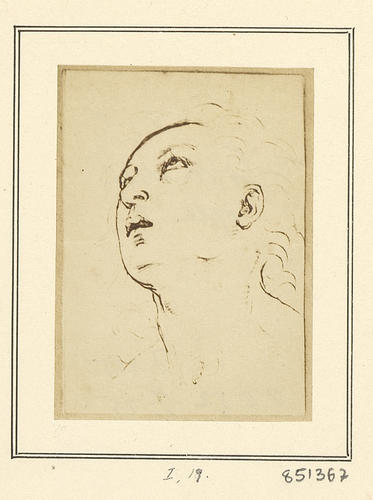 Study of a male head Study of a male head