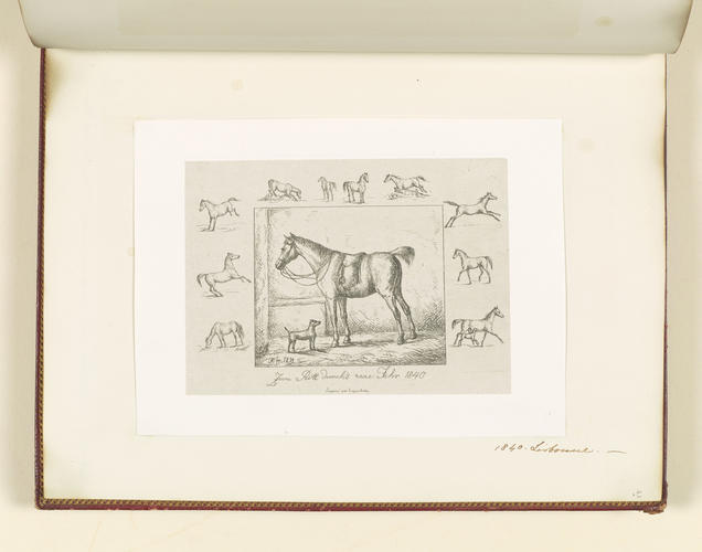 Master: Collection of Etchings done by Ferdinand King of Portugal, 1840.
Item: A horse and a dog