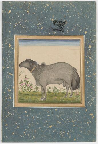Master: Mughal album of portraits, animals and birds.
Item: Paintings of a Mughal princess on a terrace and a dumba ram Master: Mughal album of portraits, animals and birds.
Item: Paintings of a Mughal princess on a terrace and a dumba ram