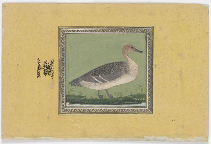 Master: Mughal album of portraits, animals and birds.
Item: Paintings of Sultan Ibrahim Adham of Balkh and a northern pintail duck Master: Mughal album of portraits, animals and birds.
Item: Paintings of Sultan Ibrahim Adham of Balkh and a northern pintail duck