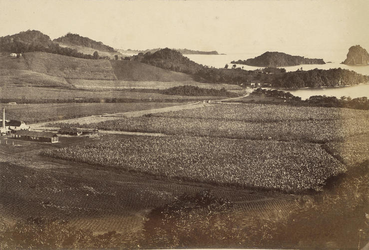 Fort Duvinet, Arnosvale, St Vincent