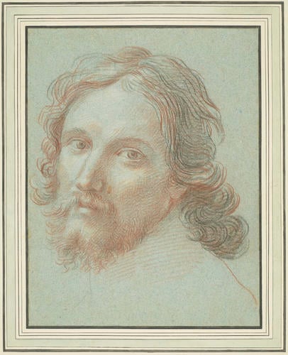 The head of a bearded man The head of a bearded man