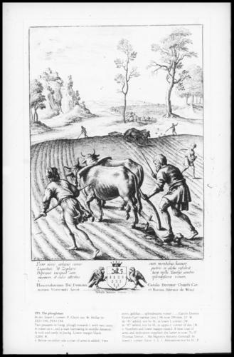 The ploughman
