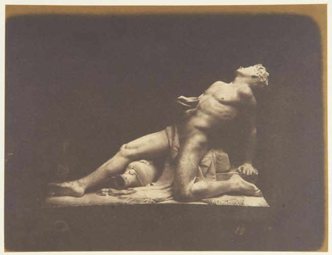 'Drunken Faun' 'Drunken Faun'