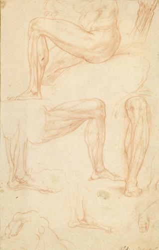Anatomical studies of legs and feet, and bird's talon