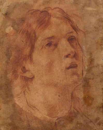 The head of a youth The head of a youth