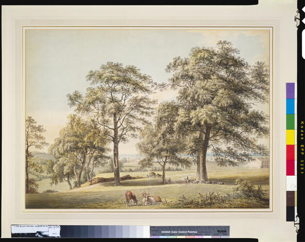 A park scene near Woolwich