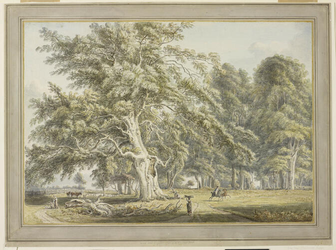 View near Cranbourne Lodge