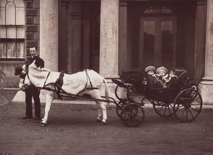Group with donkey carriage, Osborne 1884 [in Portraits of Royal Children Vol. 31 1883-1884]