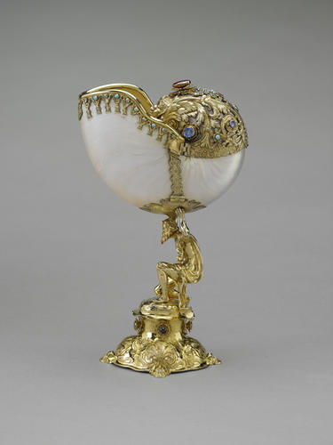 Nautilus cup Nautilus cup
