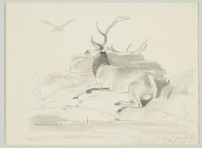 Master: SKETCHES FROM NATURE V. R. 1847 TO 1852
Item: Copied from Landseer's Drawing on the wall of the small Drawing room at [Ardverikie]