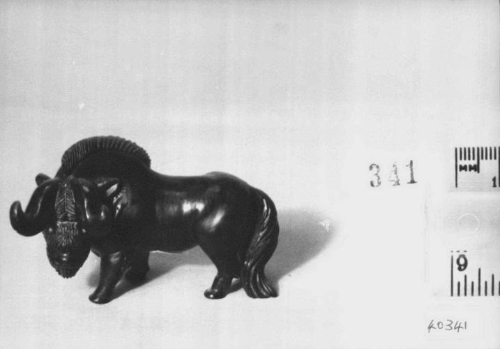 Bison