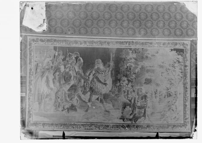 Glass plate negative of a tapestry Glass plate negative of a tapestry