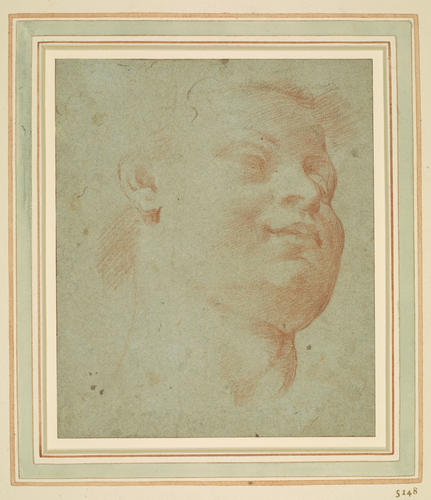 The head of a boy