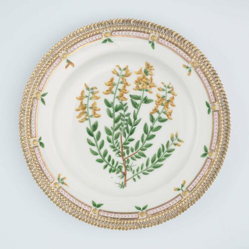 Master: Set of dinner plates
Item: Genista germanica