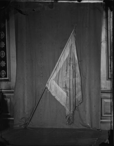 Glass plate negative Glass plate negative