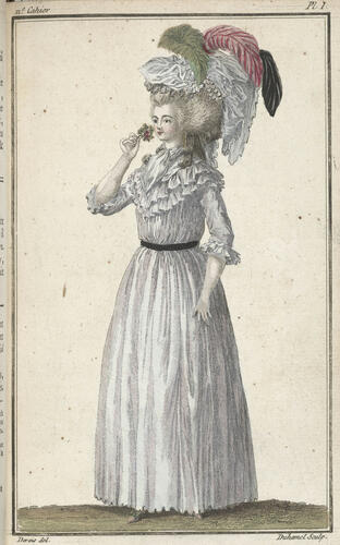 Cabinet des modes : costumes of the ladies of Paris from 1785-86 ; v. 1
