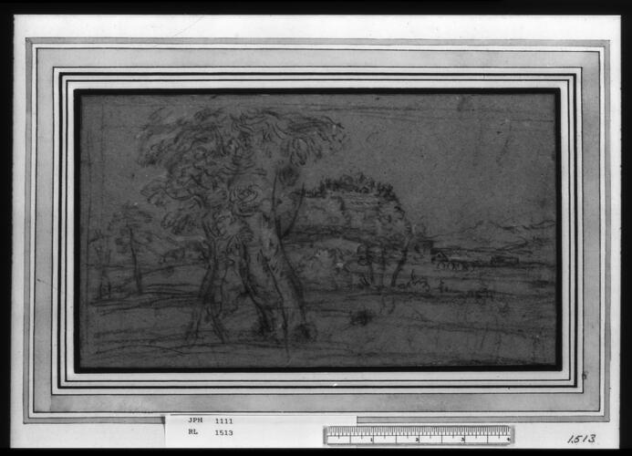 A landscape