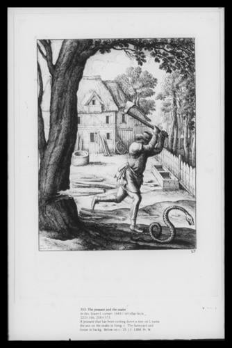 The peasant and the snake